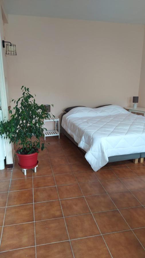 Le 5 Apartment Guitres Bagian luar foto